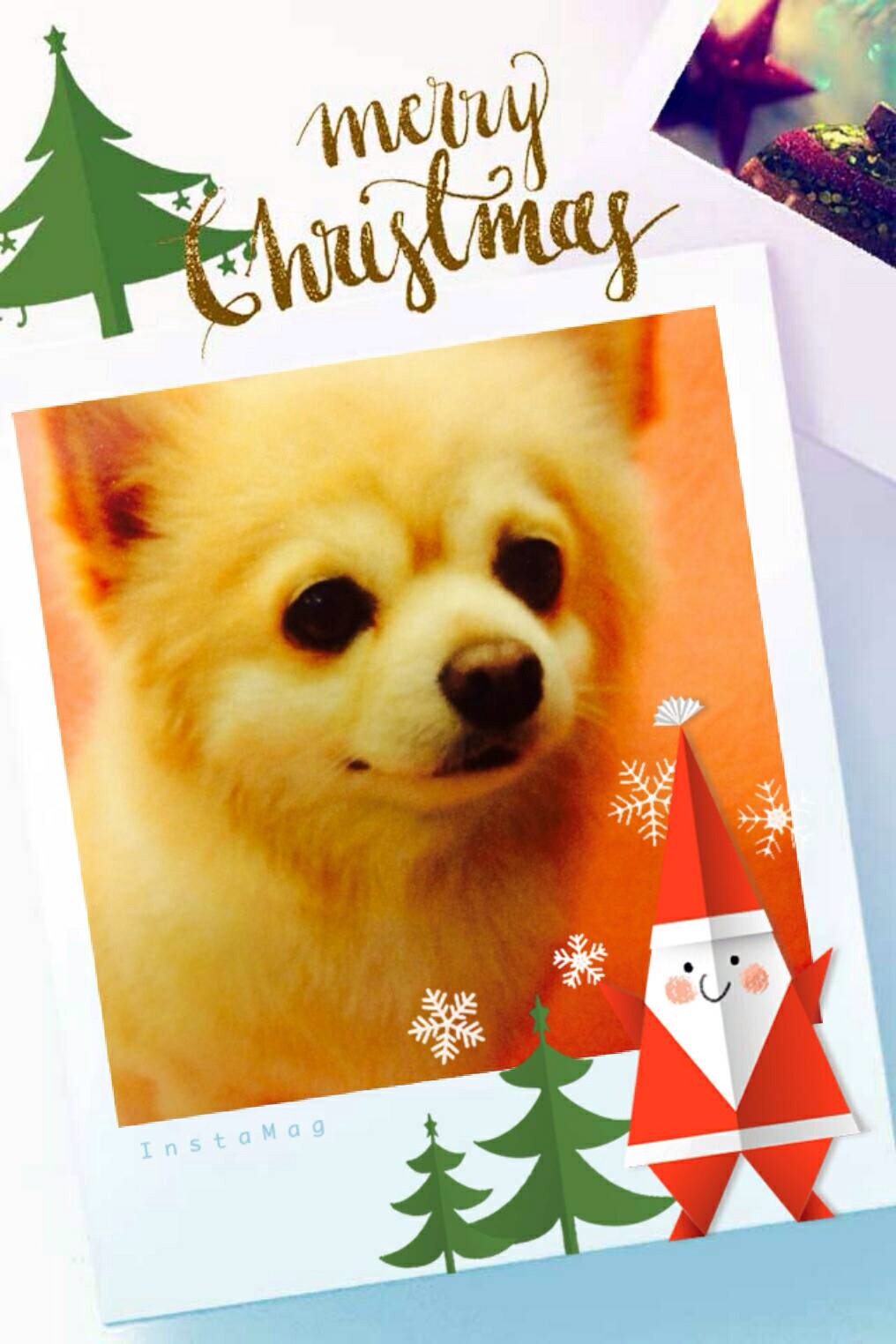 ���Ջ���