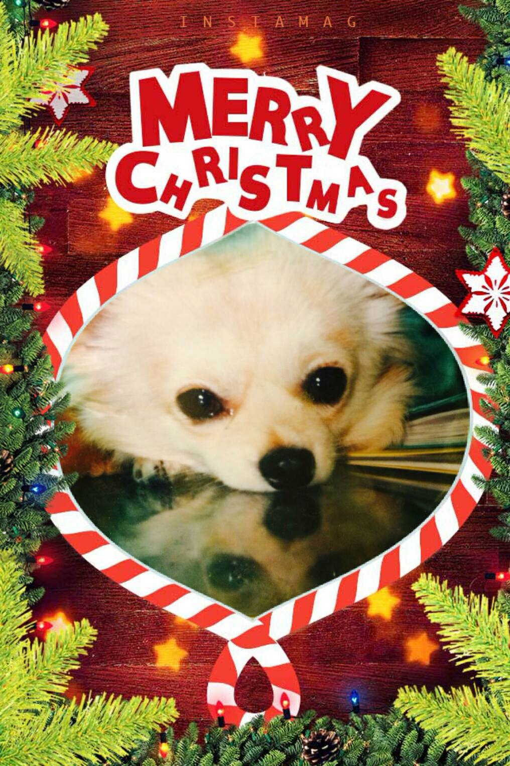 ���Ջ���